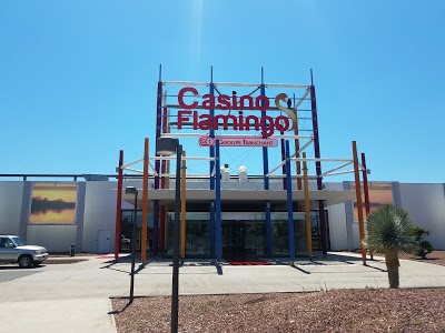 Logo Casino du Grau-du-Roi - Casino Flamingo