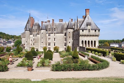 Logo Château de Langeais