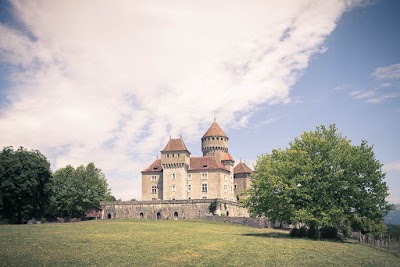 Logo Château de Montrottier