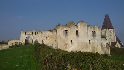 Logo Château de Picquigny