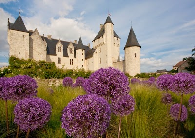Logo Château du Rivau