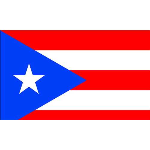 Logo Commonwealth  Puerto Rico