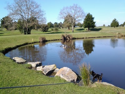 Logo Golf de Pornic