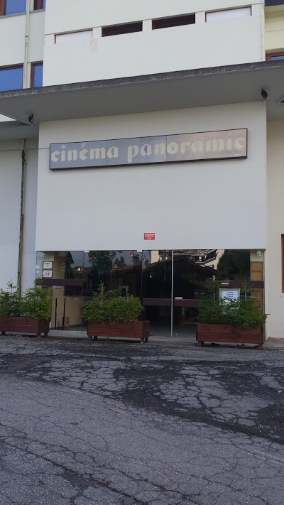 Logo Panoramic
