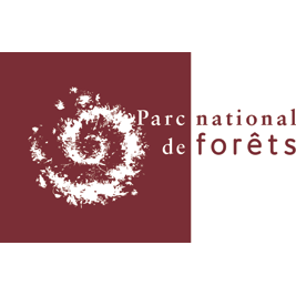 Parc national de forêts