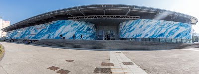 Logo Patinoire de Grenoble