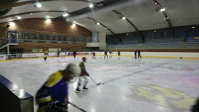 Logo Patinoire de Roanne