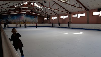 Logo Patinoire de Toul