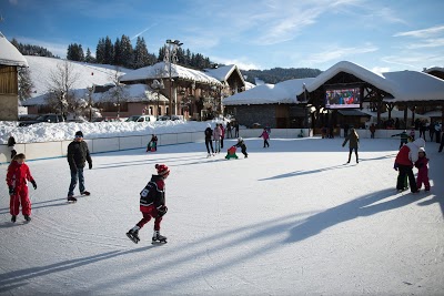 Logo Patinoire des Gets
