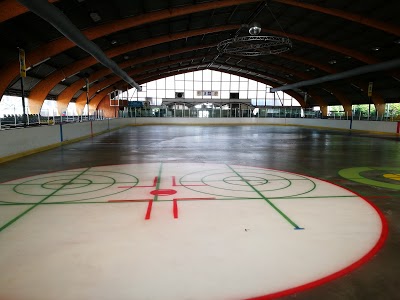 Logo Patinoire de Viry-Chatillon