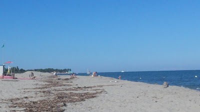 Logo Plage de Serra-di-Fiumorbo