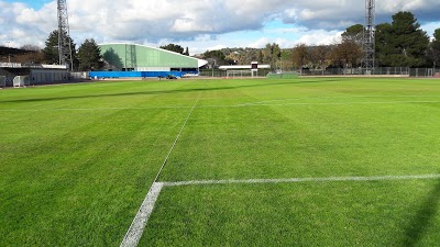 Logo Stade Georges Carcassone
