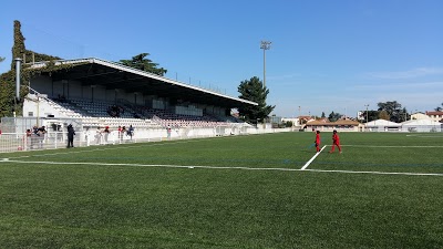 Logo Stade Vuillermet