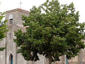Photo de l'Église Notre-Dame-de-l'Annonciation